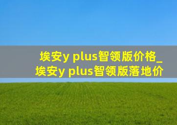 埃安y plus智领版价格_埃安y plus智领版落地价